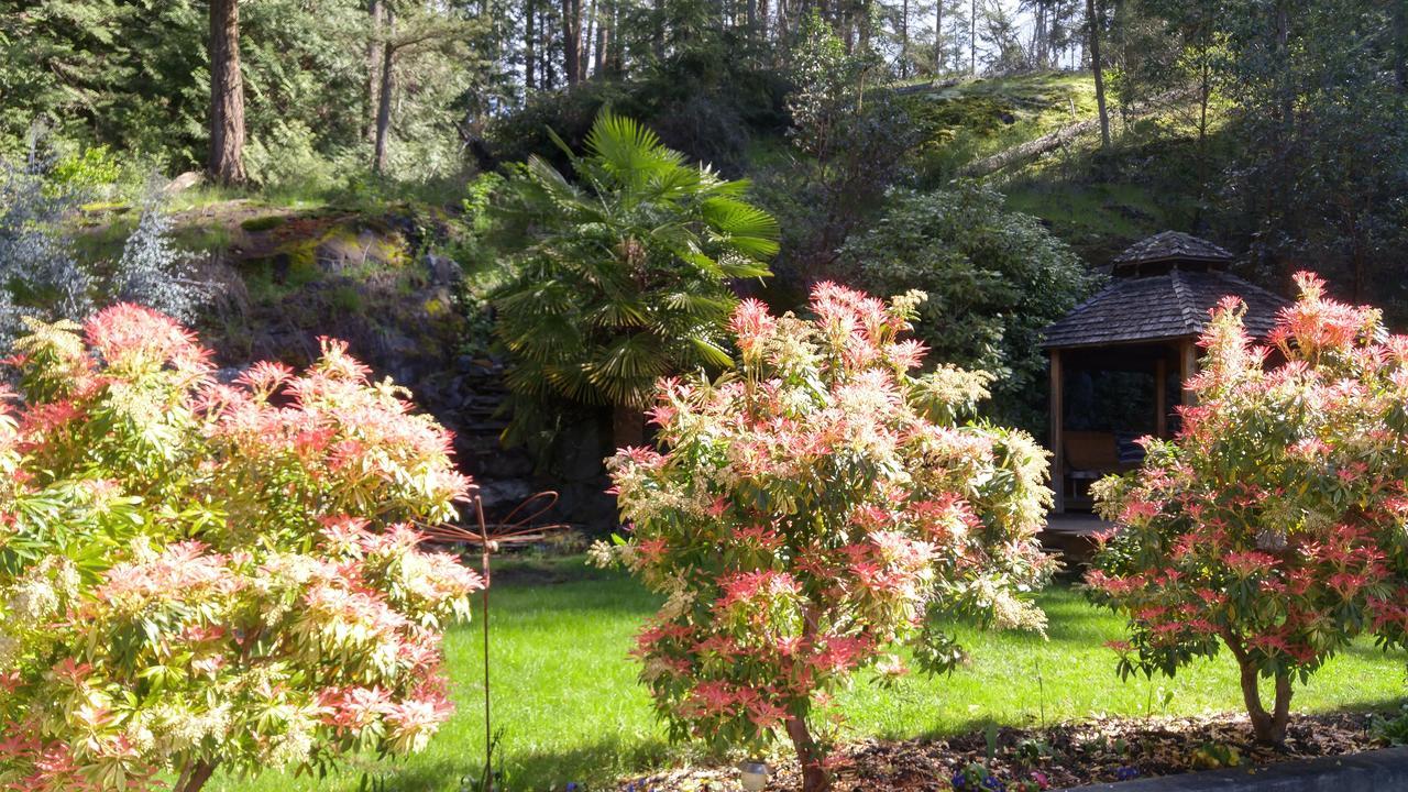 Sunshine Coast Treetop B&B Sechelt Exteriér fotografie