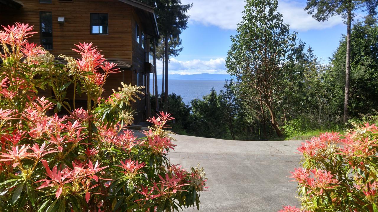 Sunshine Coast Treetop B&B Sechelt Exteriér fotografie