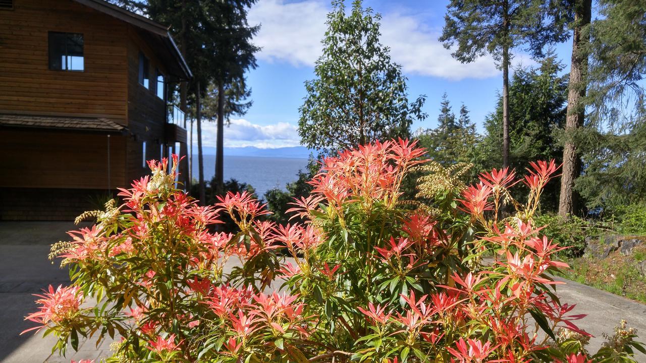 Sunshine Coast Treetop B&B Sechelt Exteriér fotografie