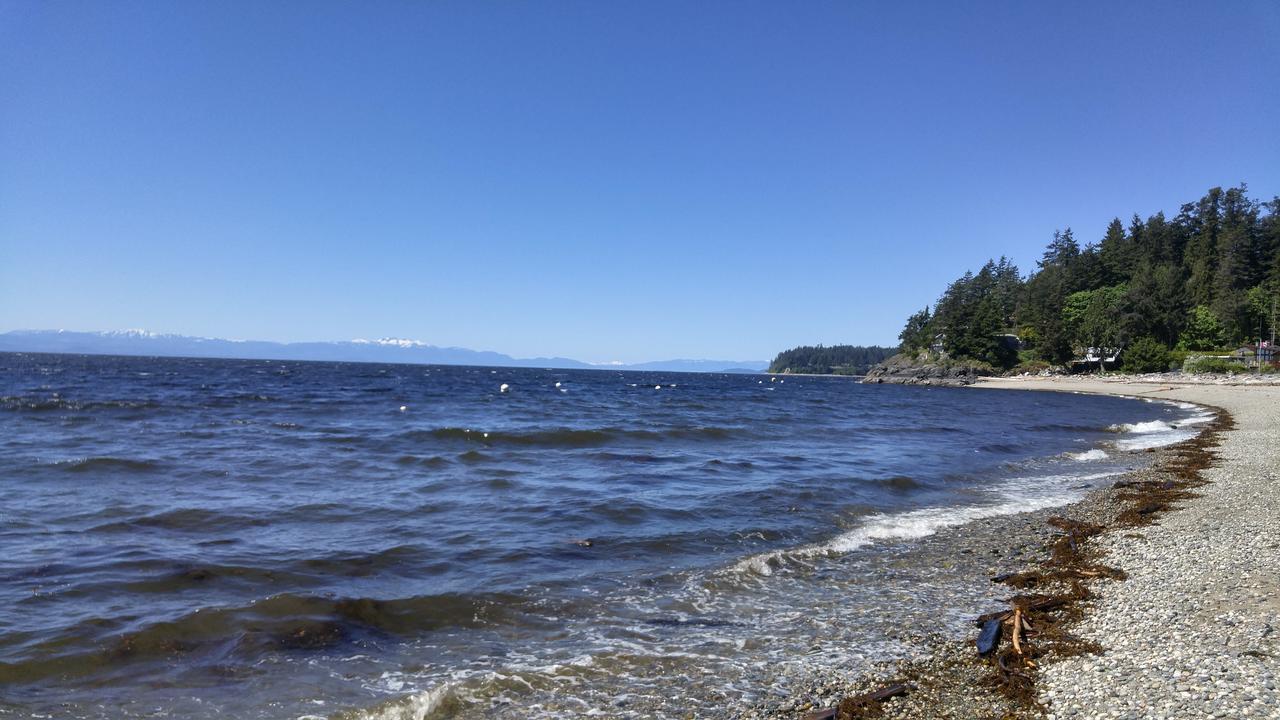 Sunshine Coast Treetop B&B Sechelt Exteriér fotografie
