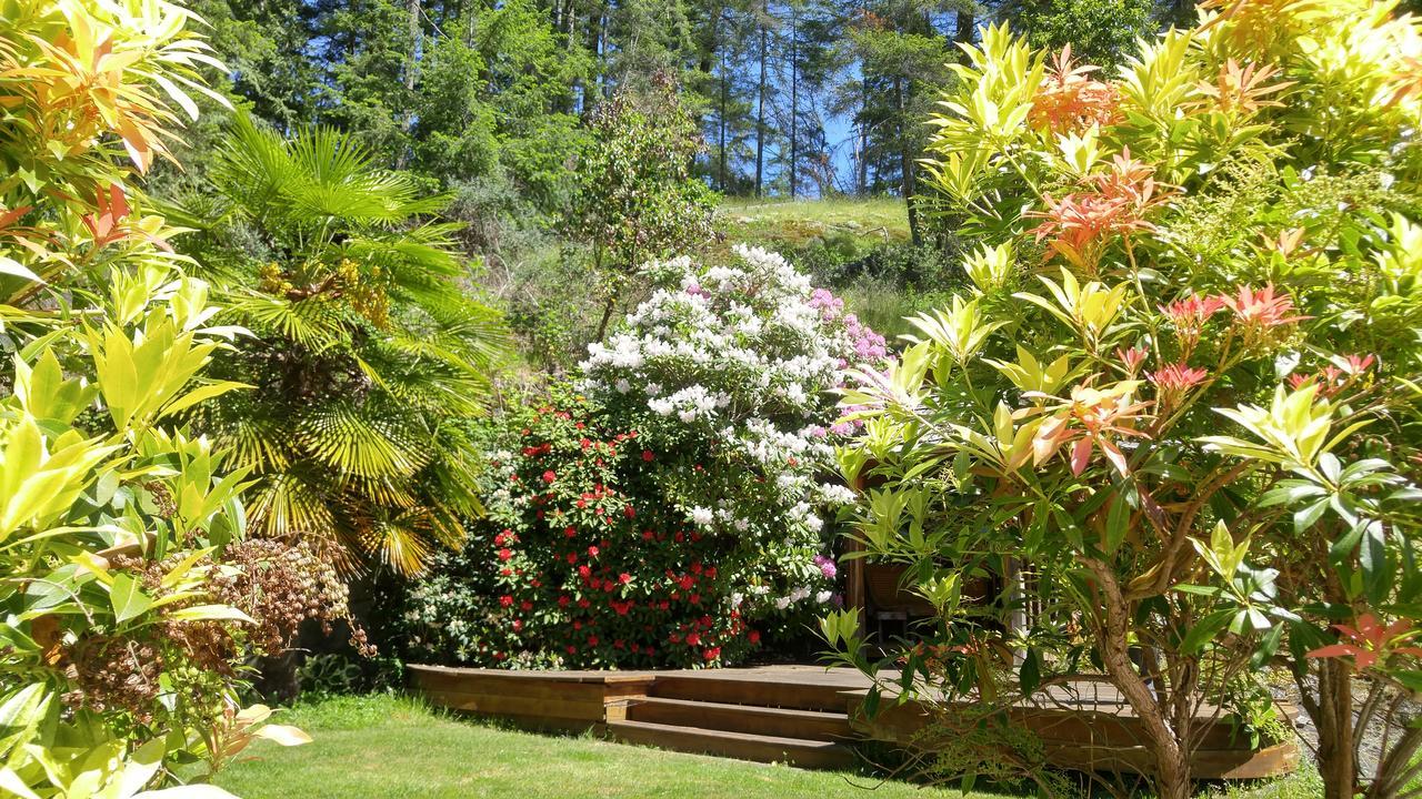 Sunshine Coast Treetop B&B Sechelt Exteriér fotografie