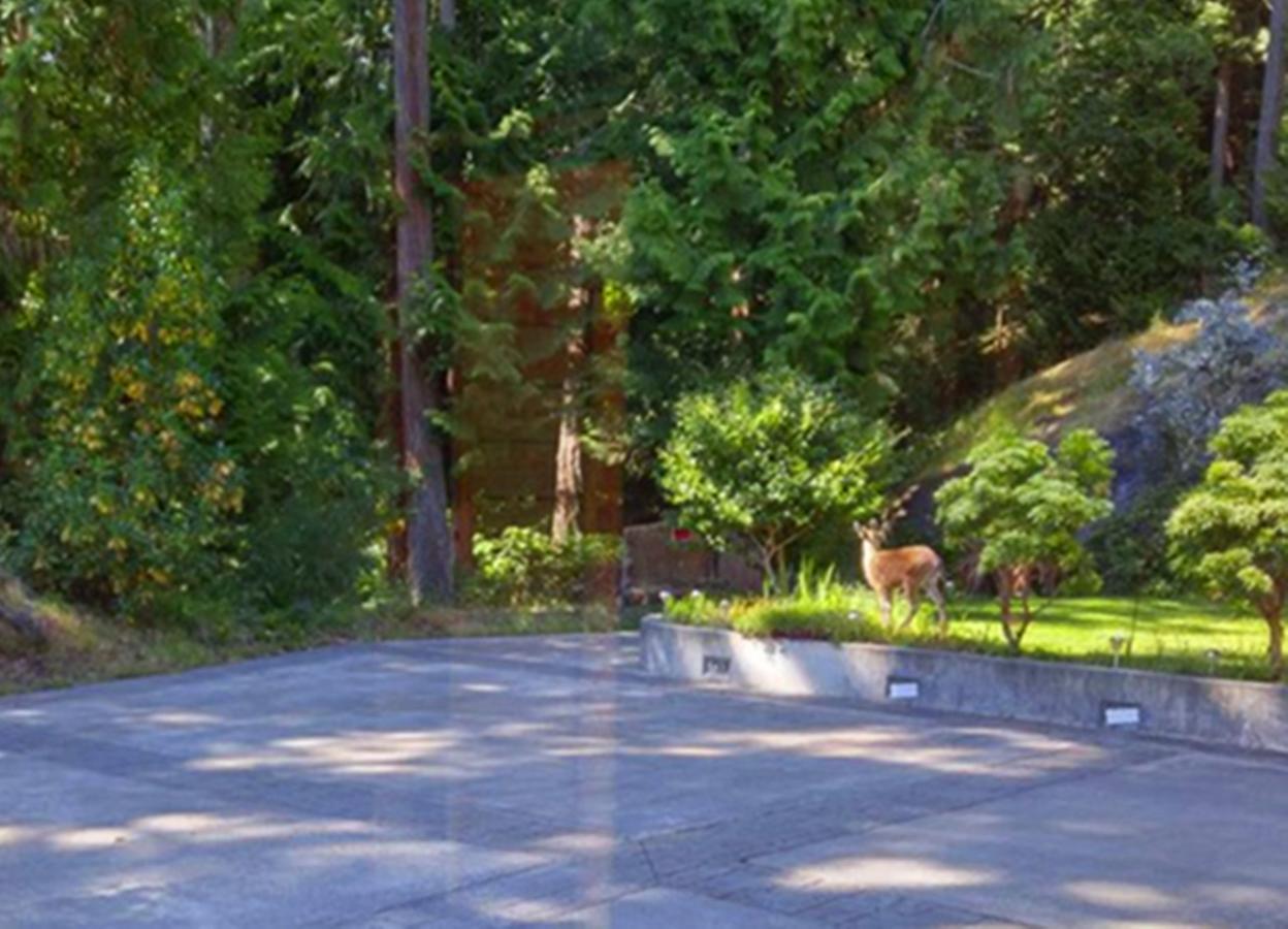 Sunshine Coast Treetop B&B Sechelt Exteriér fotografie