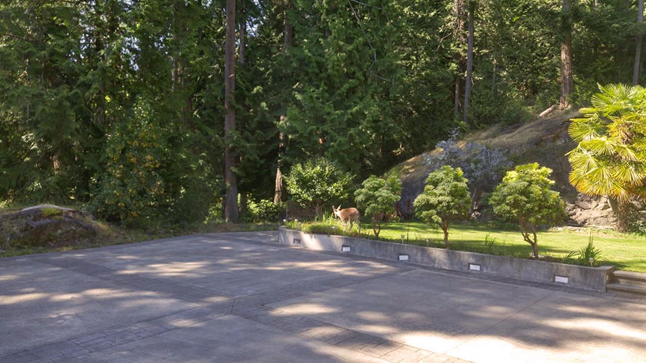 Sunshine Coast Treetop B&B Sechelt Exteriér fotografie