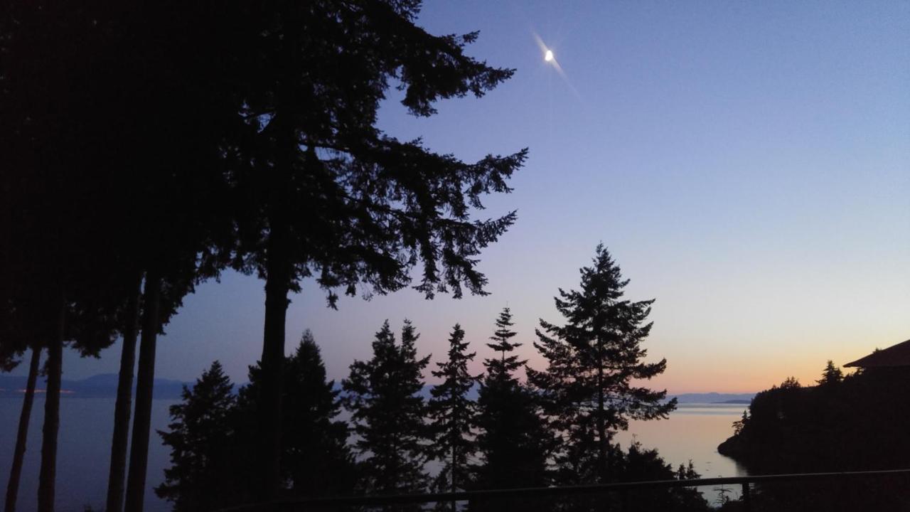 Sunshine Coast Treetop B&B Sechelt Exteriér fotografie